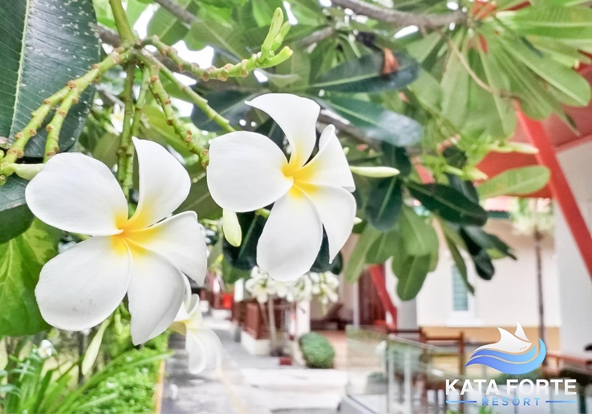 Kata Forte Resort エクステリア 写真